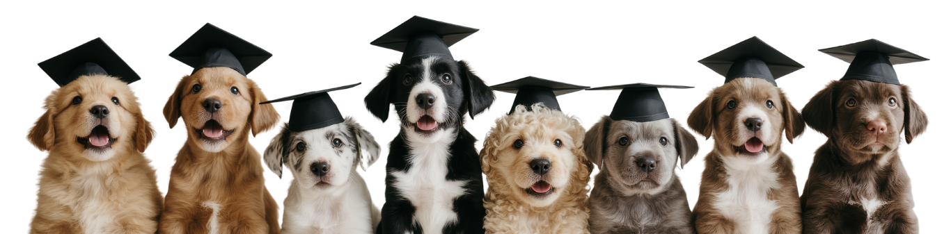 Ultimate-Pet-Care-World-Puppy-Classes-1